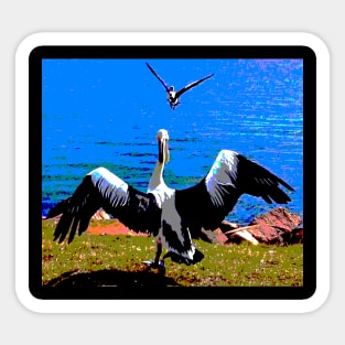 Pelican Takeoff! Sticker